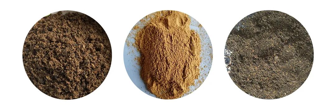 羽毛粉加工腥味、苦味、惡臭味混雜，看<a href='/' style='color: blue;' target='_blank'>工業除臭劑</a>如何快速除臭！.jpg