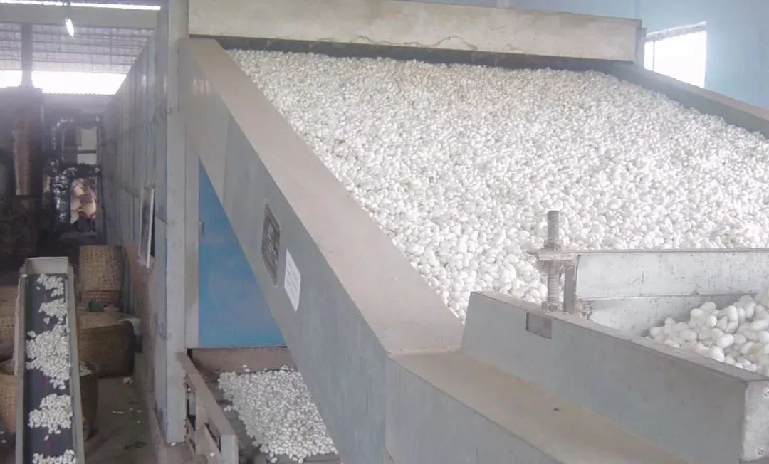 潔匠凈化·的凈工業除臭劑_繅絲廠“蠶繭烘干惡臭味”，Dejing的凈?除臭創造清新廠房！