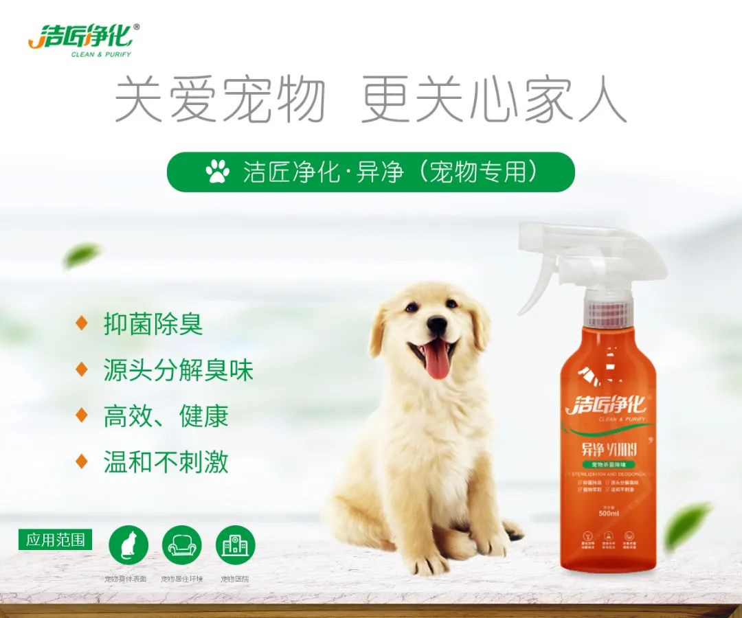 寵物氣味彌漫整個(gè)屋子，潔匠凈化教您如何除味